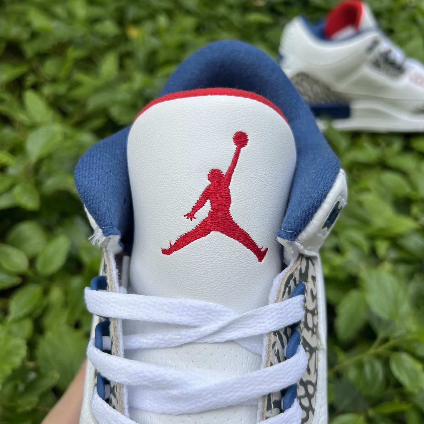 Nike Jordan shoe